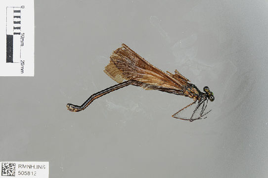 539.odobp rmnh ins 505812 1468521058 jpg.580x360