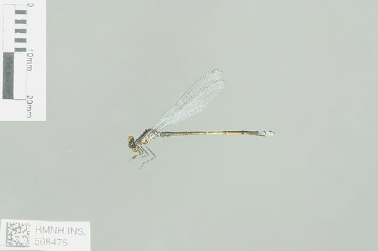 539.odobp rmnh ins 508475 1468521098 jpg.580x360