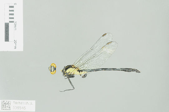539.odobp rmnh ins 508545 1468520962 jpg.580x360