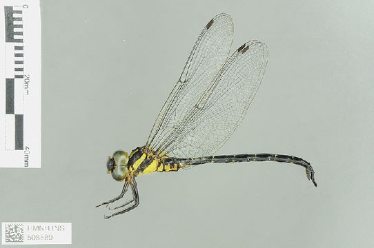 539.odobp rmnh ins 508589 1468521050 jpg.580x360