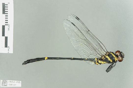 539.odobp rmnh ins 509121 1468521094 jpg.580x360