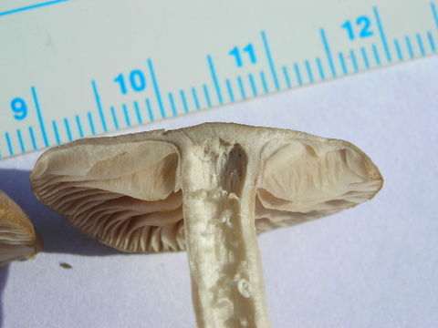 539.ont 150990pic3 1160409674 jpg.580x360