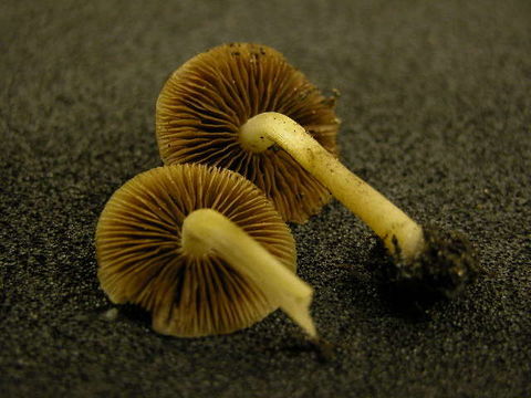 539.ont 155982pic2 1035929918 jpg.580x360
