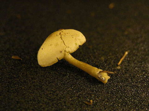 539.ont 155989pic5 1035924070 jpg.580x360