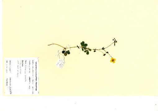 539.powna nbgw7004 1328486092 jpg.580x360