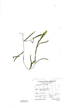 539.powna nmw2037 1328485966 jpg.580x360