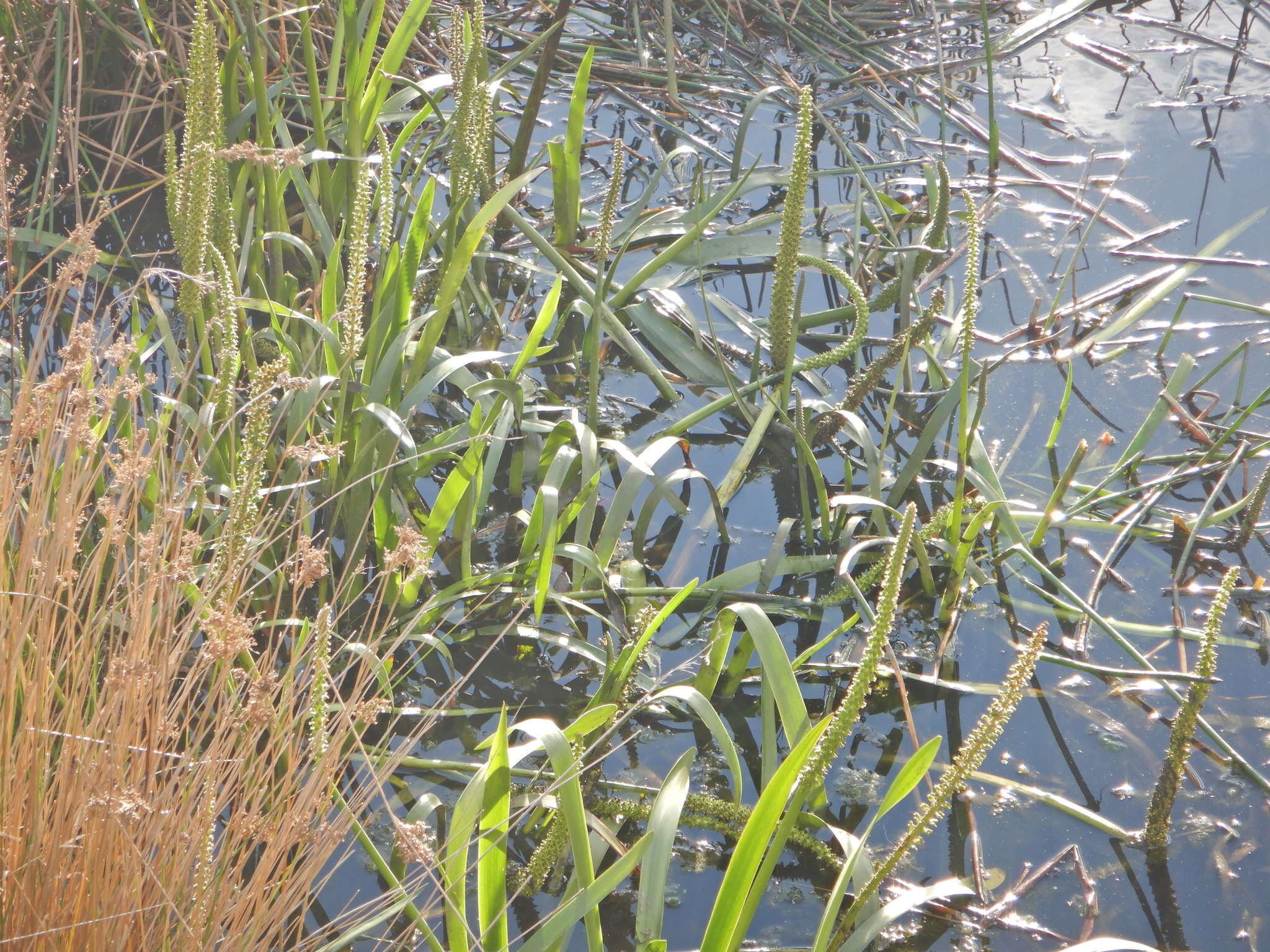 Image of water ribbon