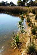 Image of water ribbon