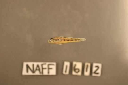 539.rmayb img 7706 1177686718 jpg.580x360