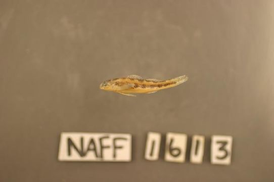 539.rmayb img 7707 1177686718 jpg.580x360