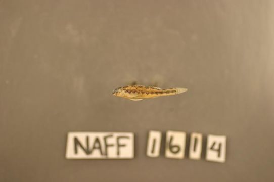 539.rmayb img 7708 1177686720 jpg.580x360