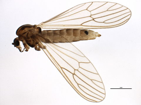 539.smtpf bioug13097 f01 1401992890 jpg.580x360