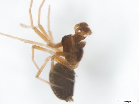 539.spns akr 1149 1453839102 jpg.580x360