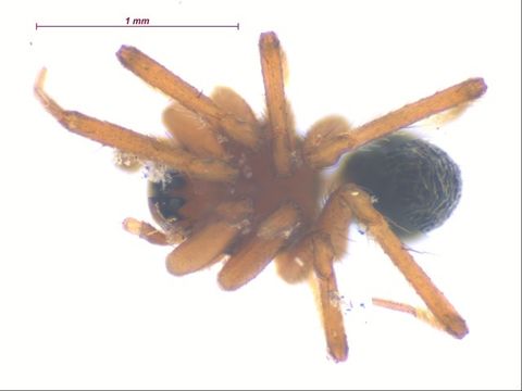 539.sprma sk75 1273168172 jpg.580x360