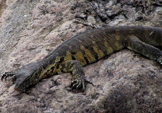 Image of Ornate monitor