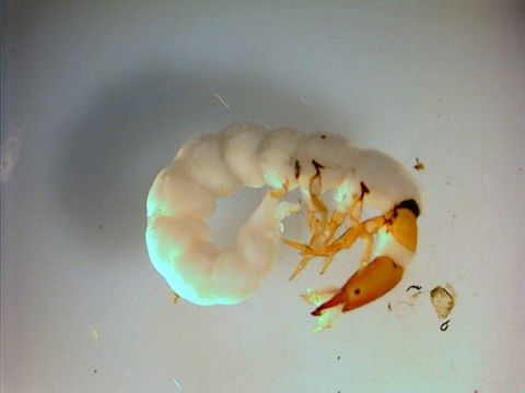 539.swrcb 08 swrc 0910 1207429872 jpg.580x360