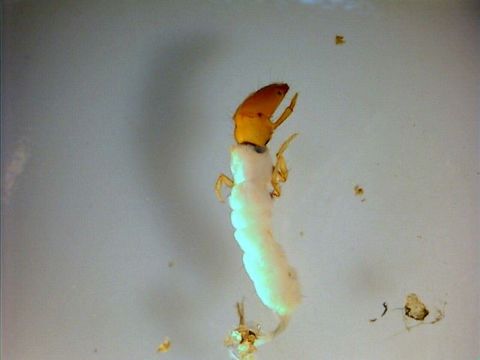 539.swrcb 08 swrc 0911 1207430336 jpg.580x360