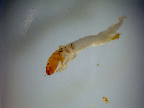 539.swrcb 08 swrc 0912 1207430556 jpg.580x360