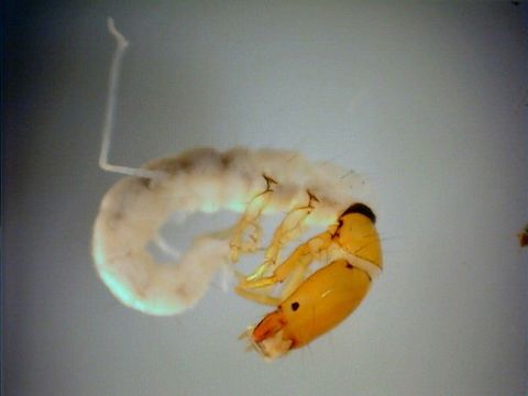 539.swrcb 08 swrc 0913 1207430880 jpg.580x360
