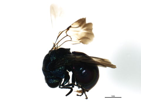 539.tthyw 08bbhym 0961 1237471950 jpg.580x360