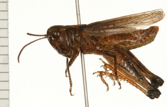 539.ttofw img 1502 1223569928 jpg.580x360