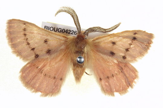 539.walpa bioug04195 f09 1358279814 jpg.580x360