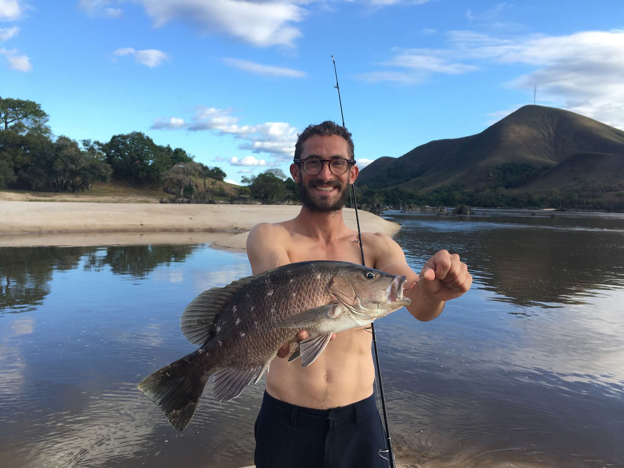 Image of Guinea Snapper