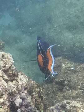 Image of Achilles Tang