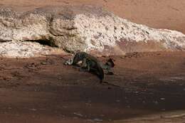 Image of Ornate monitor