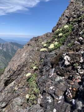 Image of Olympic Mountain rockmat