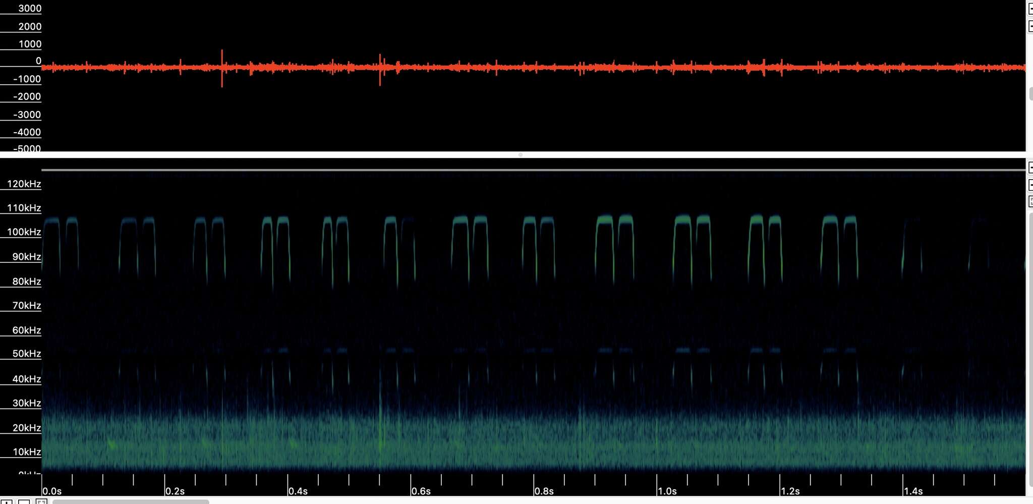 Image of Formosan Lesser Horseshoe Bat