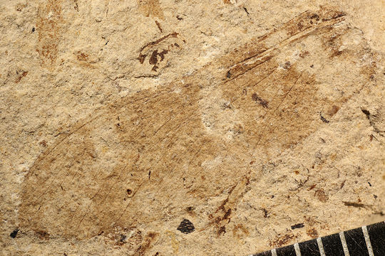 269.274481.580x360