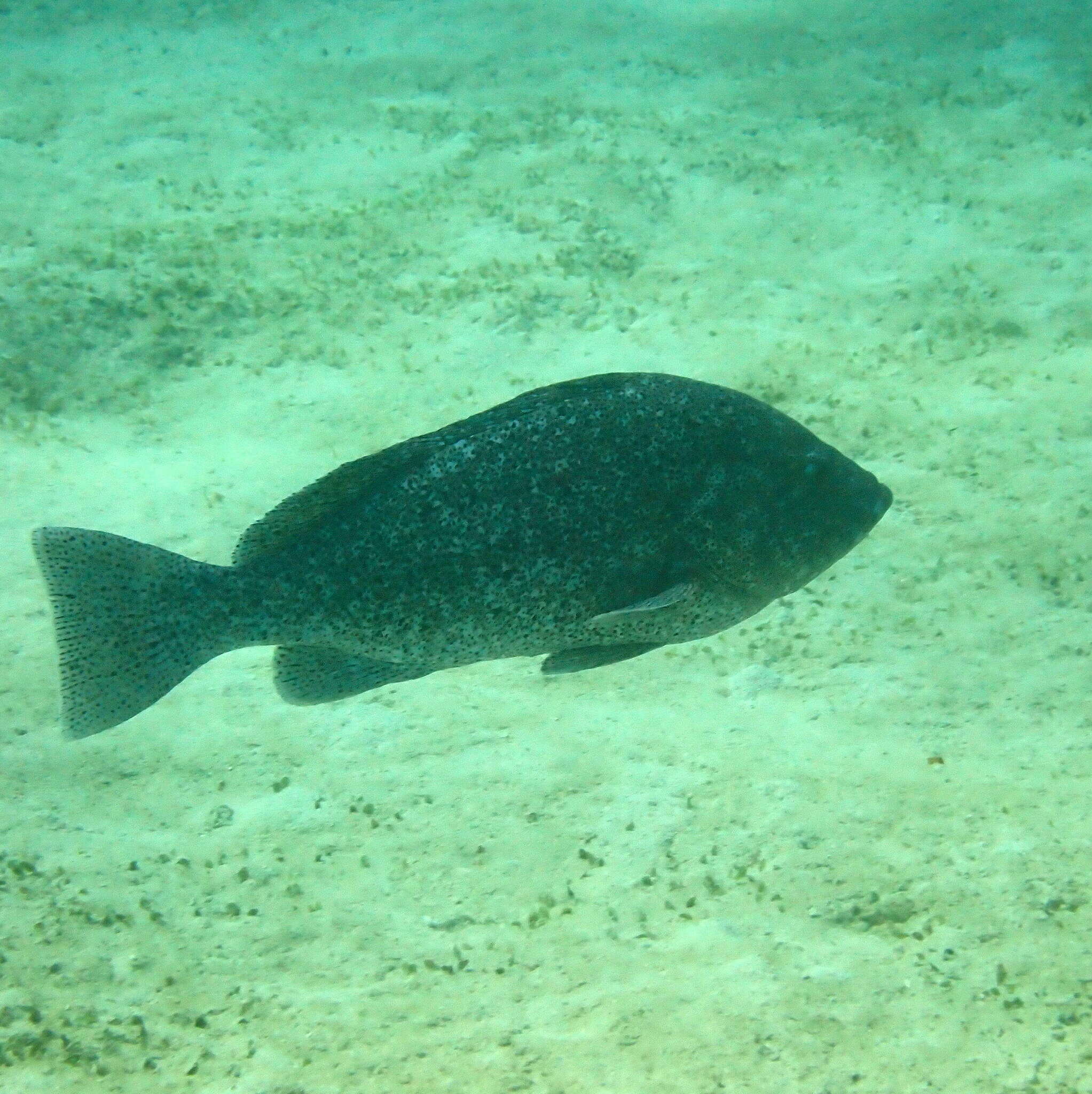 Image de Loche Bleue