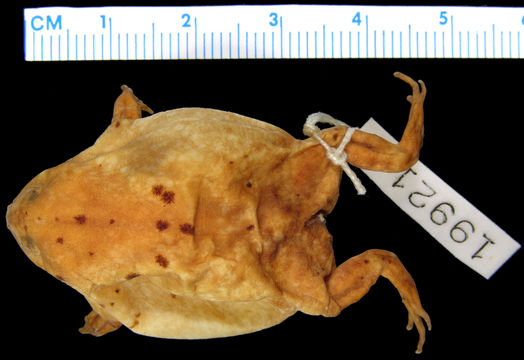 269.a19921 b cheesmanae p d jpg.580x360