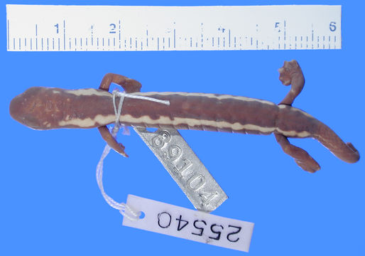 269.a25540 b odonnelli p d jpg.580x360