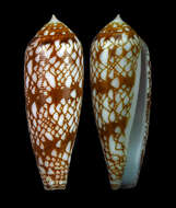 Image of gold leafed cone