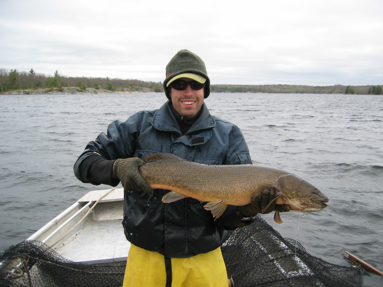 Image of Bowfin