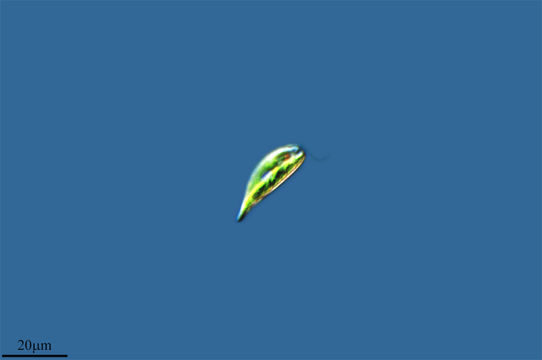 542.15856102803.580x360