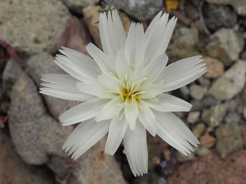 542.15873669732.580x360