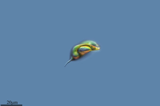 542.26812995219.580x360