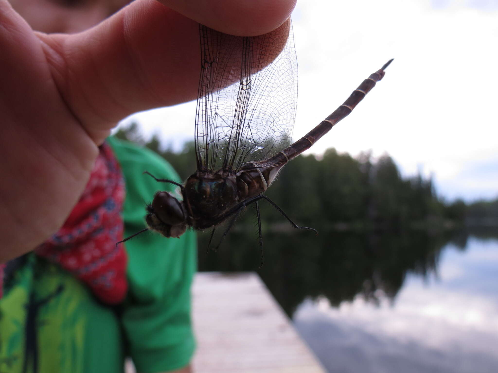 Image of Lake Emerald