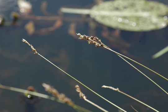 542.3644312010.580x360