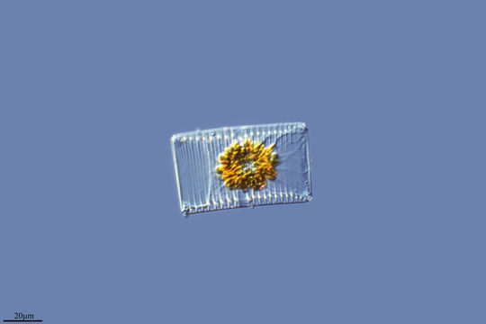 542.36569557691.580x360