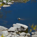 Image of Baja California slider