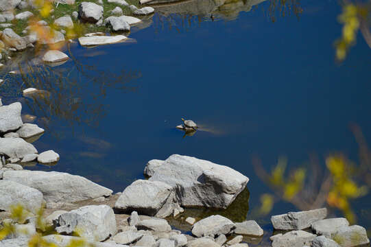 Image of Baja California slider