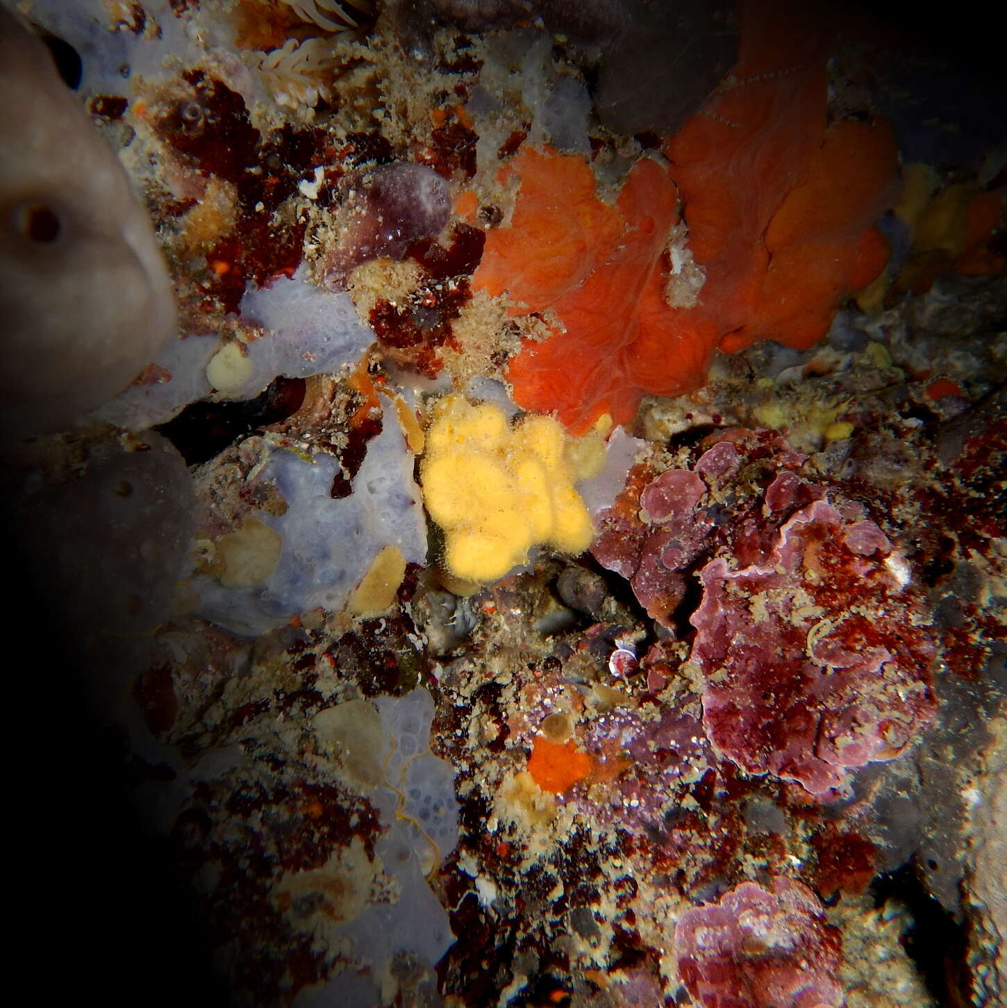 Image of crumpled duster sponge