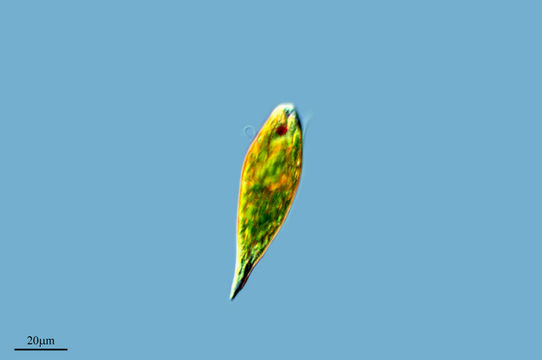 542.4555332346.580x360