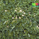 Image of sea grapes