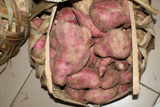 صورة بطاطا حلوة