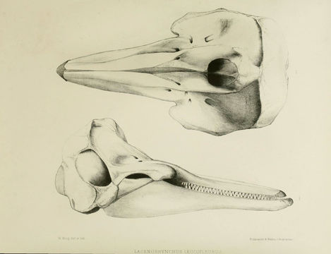 542.6257844523.580x360